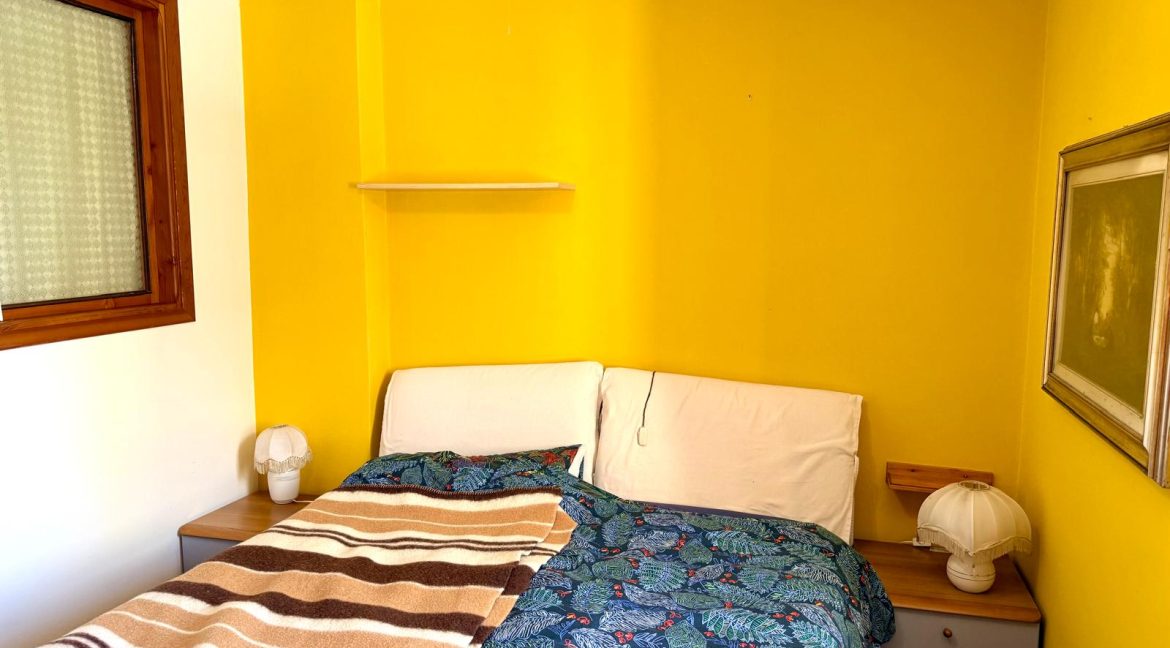 PHOTO-2026-01-29-12-48-00_11