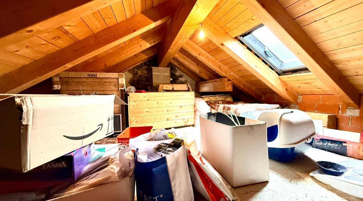 PHOTO-2026-01-27-09-43-04_15