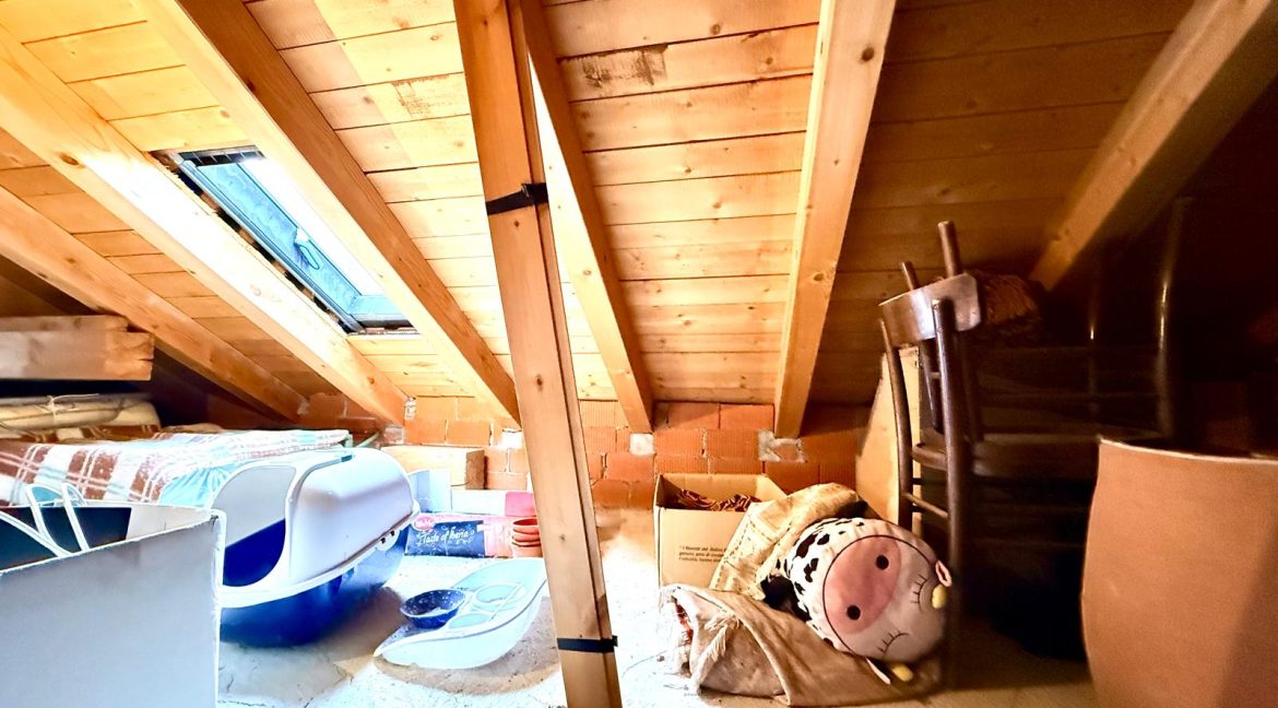 PHOTO-2026-01-27-09-43-04_16